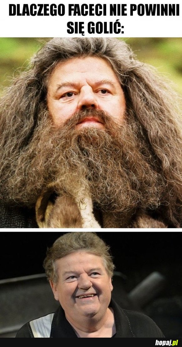 HAGRID BEZ BRODY