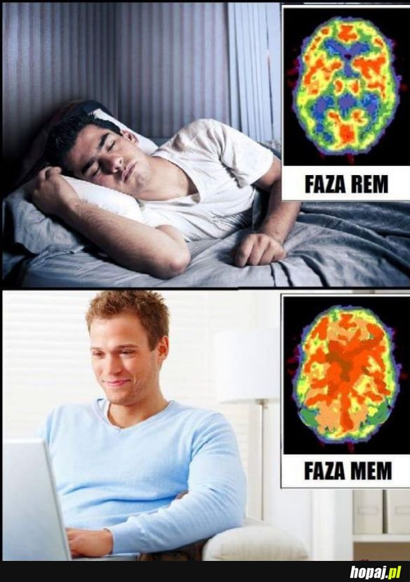 Fazy