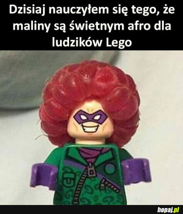 Nauka na dziś