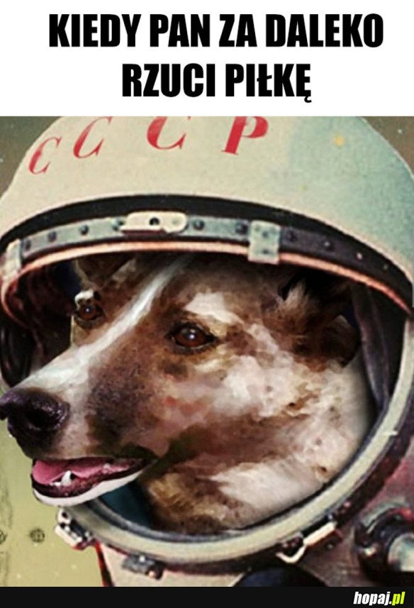 TO THE MOON AND BACK