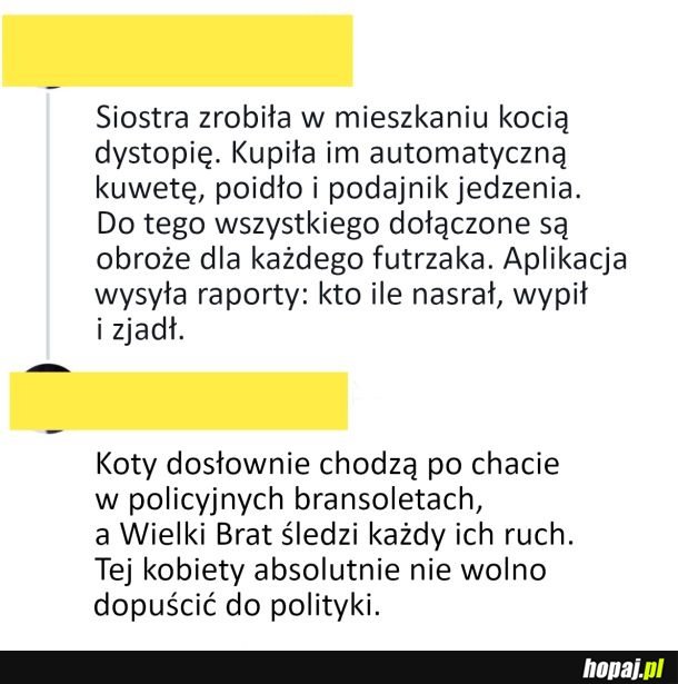 Kocia dystopia