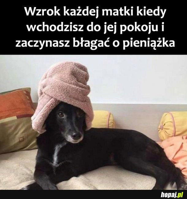 Wzrok mamy