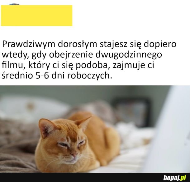 Dorosłość