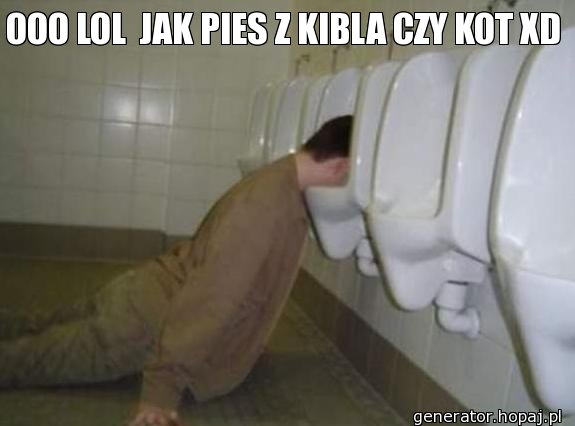 OOO LOL  JAK PIES Z KIBLA CZY KOT XD