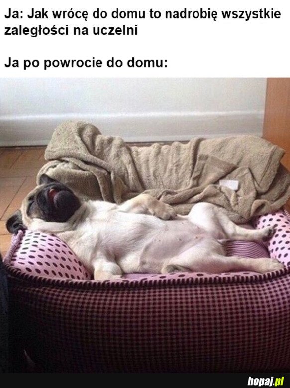 PRODUKTYWNY WIECZÓR