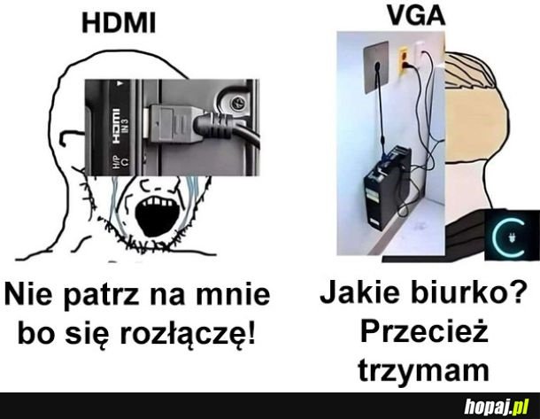 Wytrzymałość