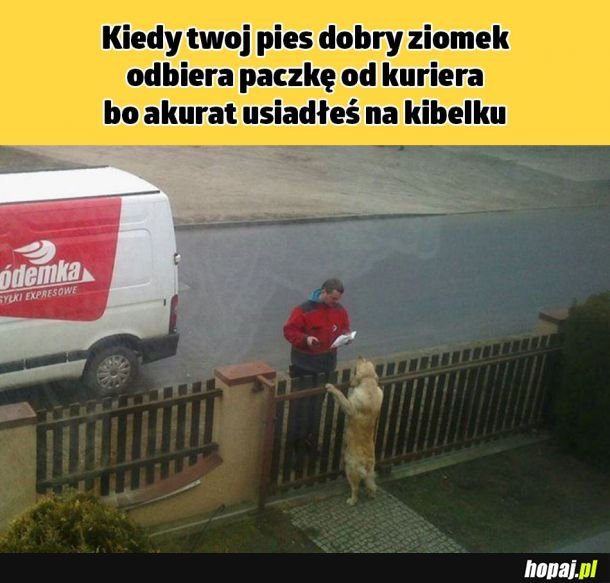 Dobry ziomek