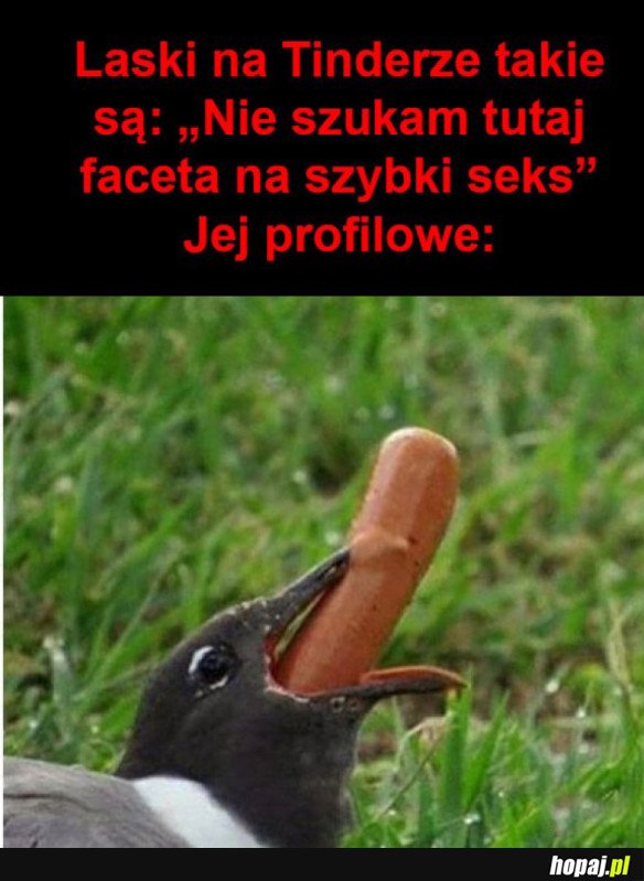 LASKI NA TINDERZE