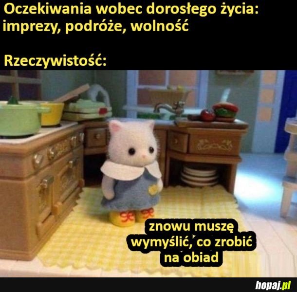 Nigdy nie mam pomysłu