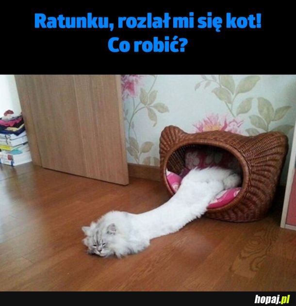Ktoś pomoże?