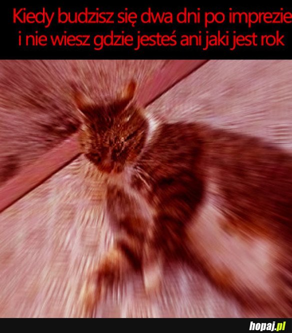 CO SIĘ STAŁO