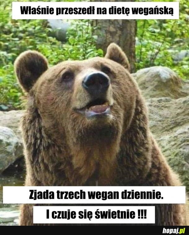 Weganizm jest zdrowy