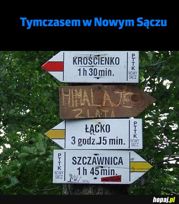 TROLL W NOWYM SĄCZU