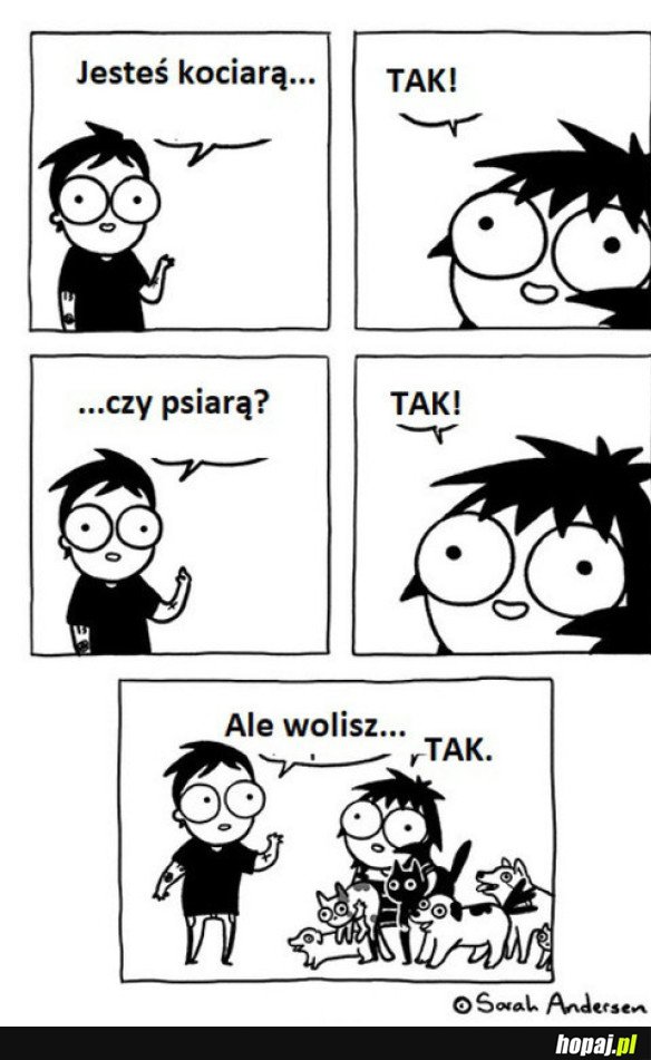 CO WOLISZ