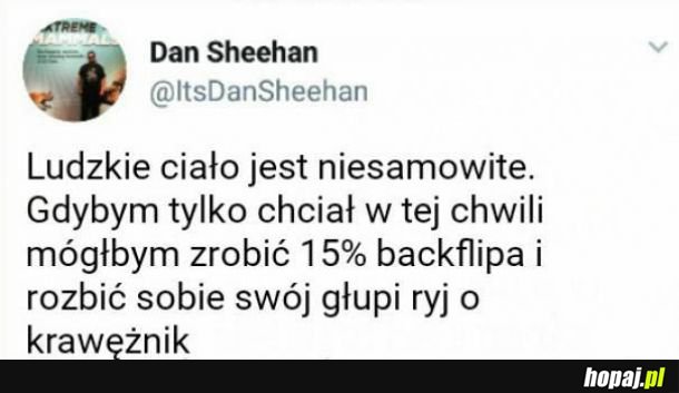 Podziwiam