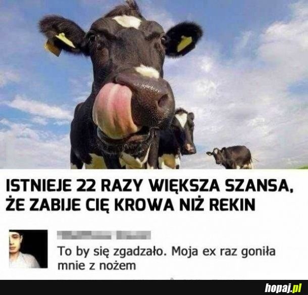 Statystyki nie kłamią