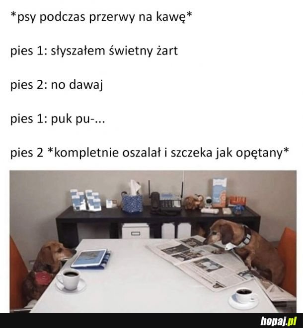 Piesełowy żart