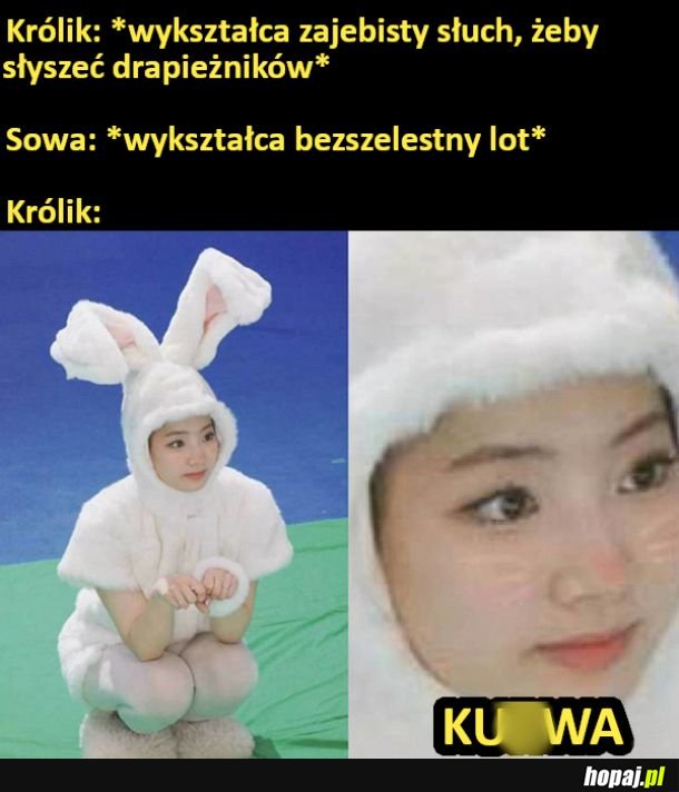 Niefajnie...