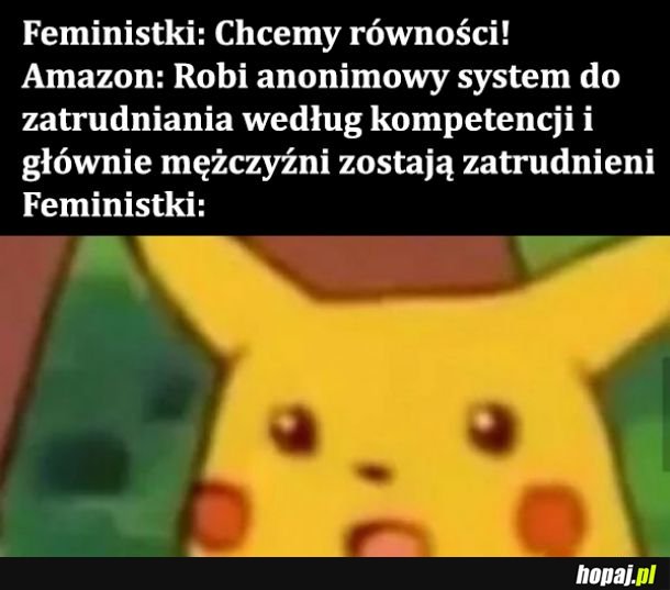 Feministki