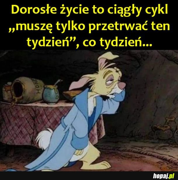 Dorosłe życie