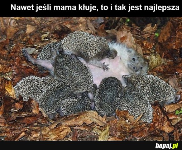 Mamusia