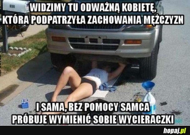 ODWAŻNA KOBIETA