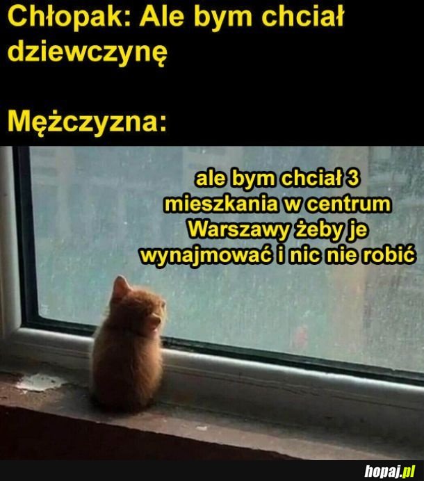 Porównanie