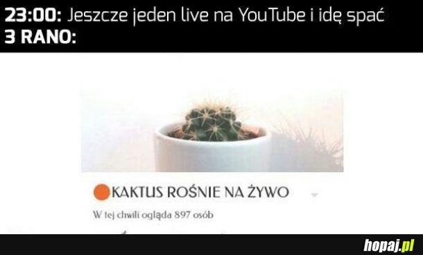 Za każdym razem