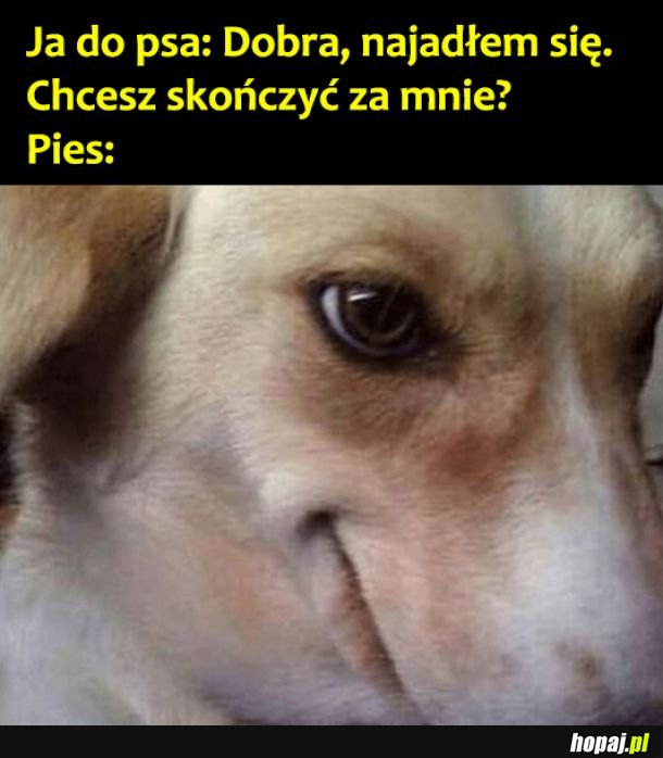 Pewnie, że chcę