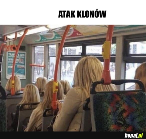 W autobusie