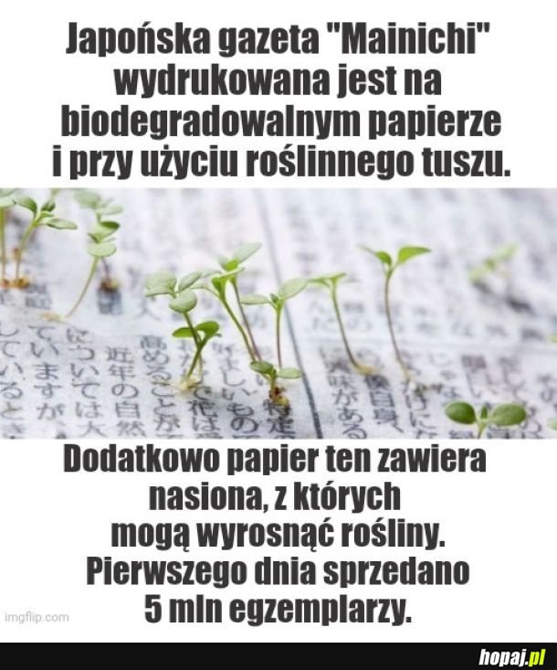 Gazeta z nasionami