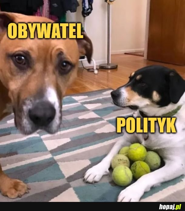 Tak to wygląda. 