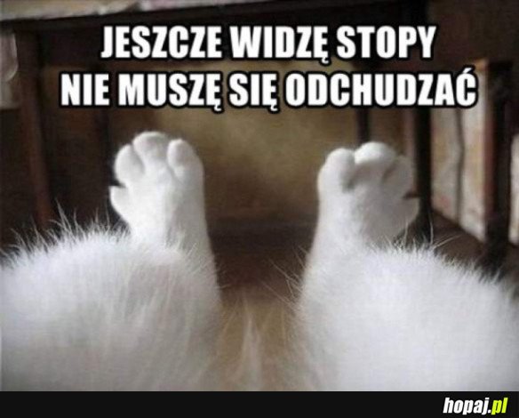 NIE MUSZĘ SIĘ ODCHUDZAĆ