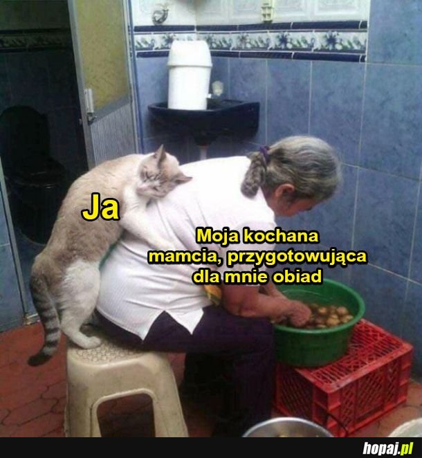 Kochana