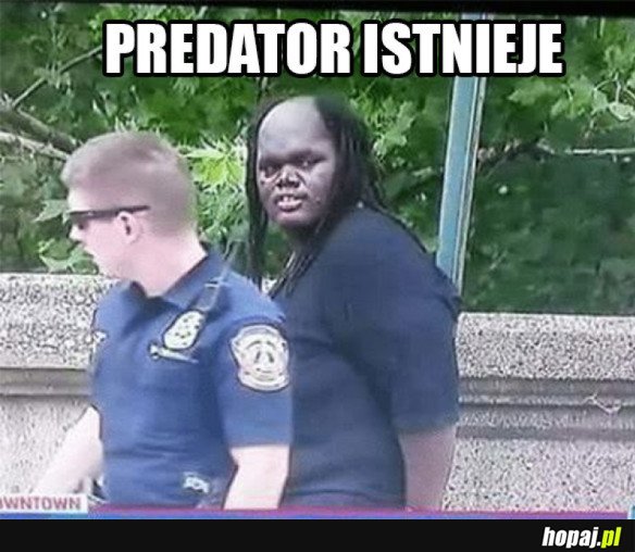 Predator