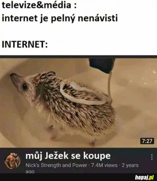 Internet pełen nienawiści