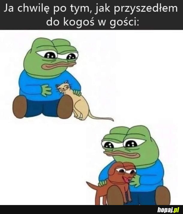 Za każdym razem
