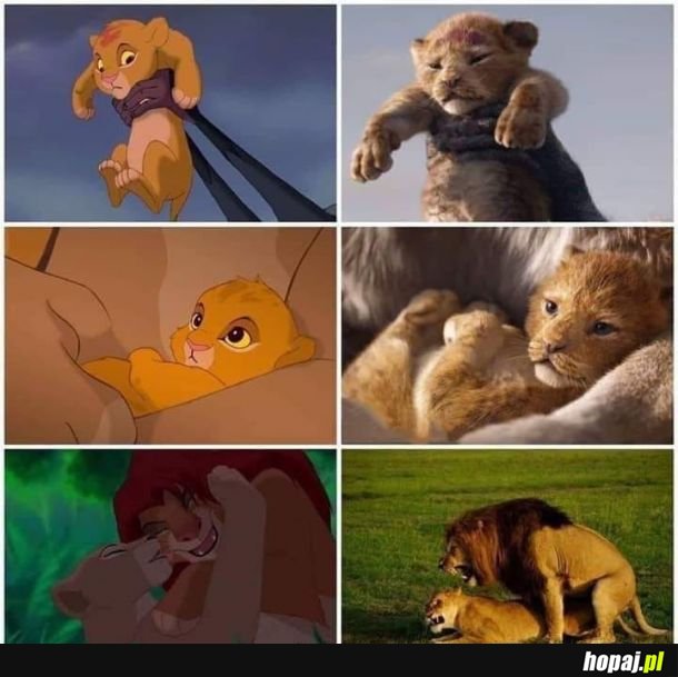 The Lion King