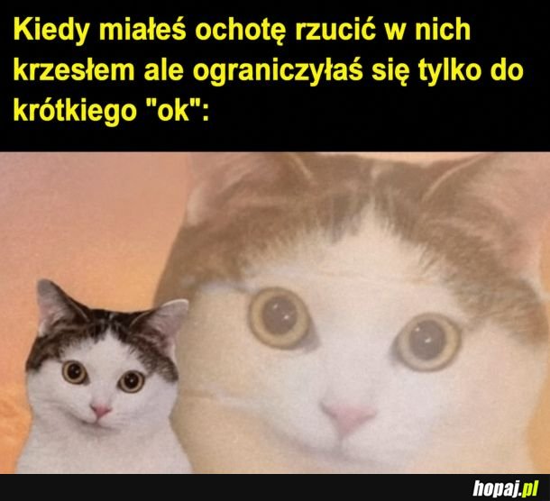 Okej