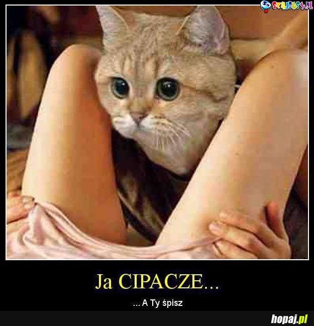 Ja Cipacze