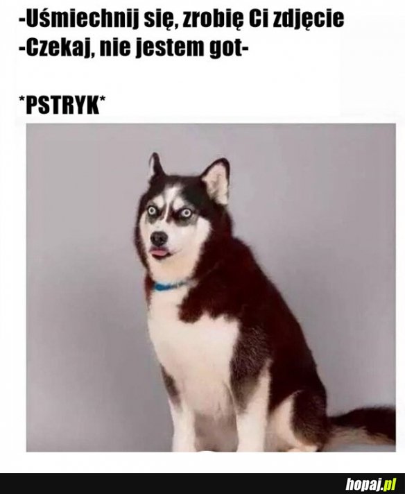 Zdjęcie