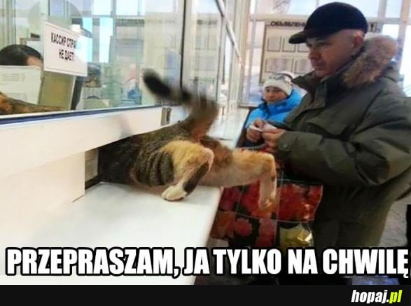 Ja tylko na chwilę