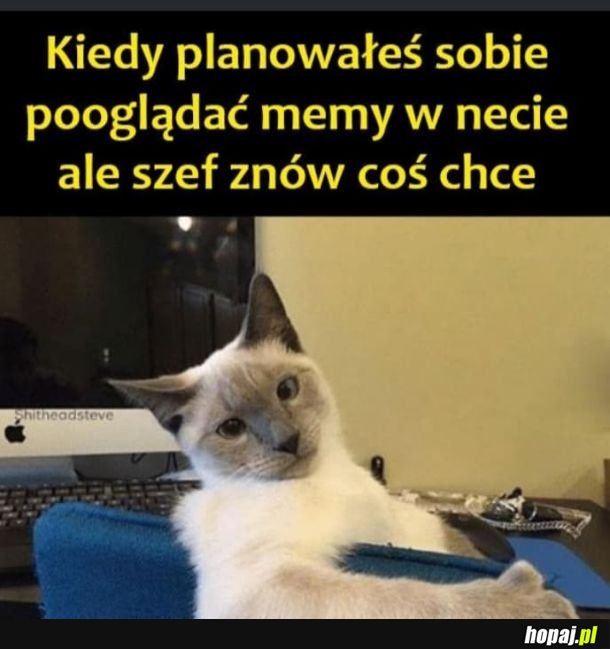 Praca
