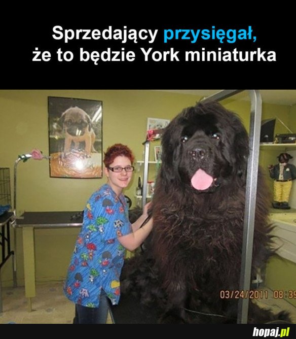 COŚ POSZŁO NIE TAK 
