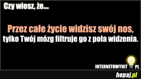 Czy wiesz, że...?