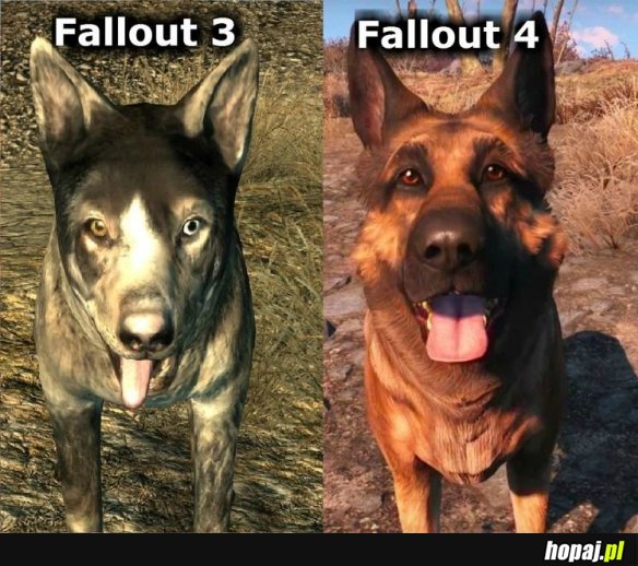 Psiak w Fallout