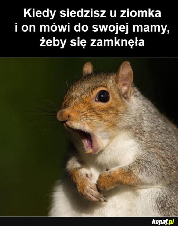 JAK TAK MOŻNA