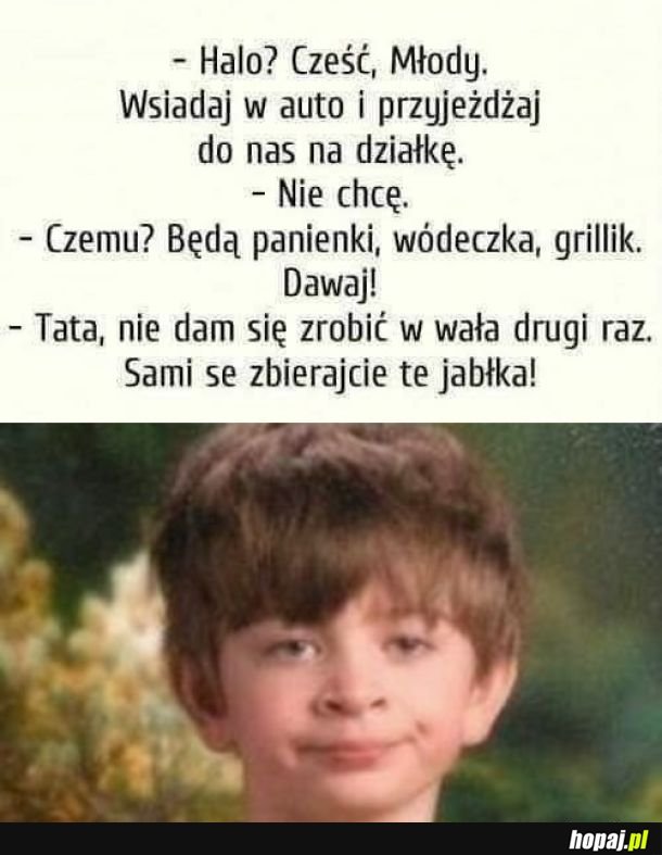 Weź się, tato