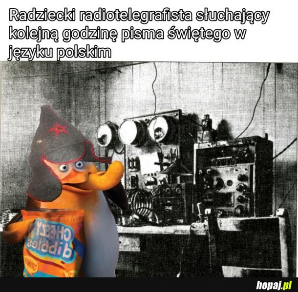 Skiperyzowane
