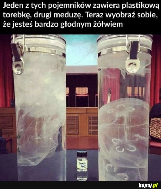 Człowiek to szkodnik